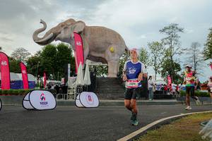 BIB: 
                            <button type="button" onclick="openModal(26528502)" class="btn btn-primary btn-sm float-right btn-popup" data-toggle="modal" data-target=".modal-high-quality">
                        <i class="fas fa-shopping-cart"></i> Add to Cart
                    </button>
                                            <button type="button" onclick="isThisMe(26528502, true)" class="btn btn-success btn-sm float-right btn-popup btn-isme hidden" data-toggle="tooltip" data-placement="bottom" title="นี่คือรูปของคุณใช่ไหม คลิกที่นี่เพื่อเอาเข้าอัลบั้ม">
                        <i class="fas fa-plus"></i> Add to album
                    </button>
                    <button type="button" onclick="isThisMe(26528502, false)" class="btn btn-warning btn-sm float-right btn-popup btn-isnotme hidden">
                        <i class="fas fa-ban"></i> Remove from album
                    </button>